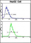 PK3CA Antibody (Y317)